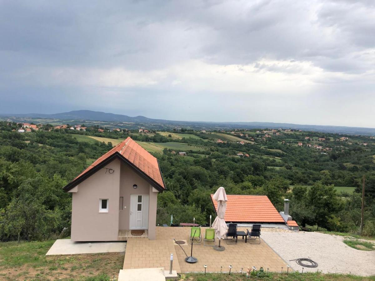 Vila Pogled Aranđelovac Exterior foto