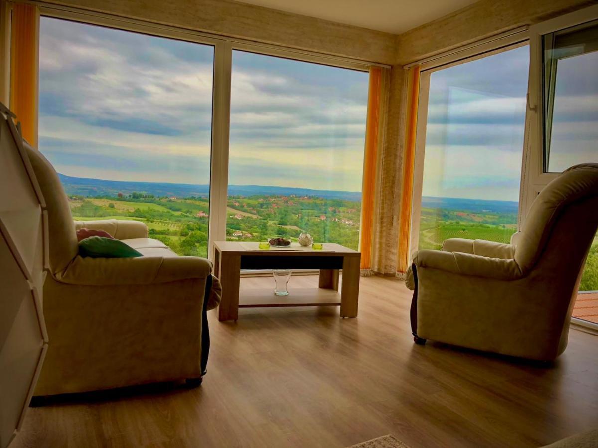 Vila Pogled Aranđelovac Exterior foto