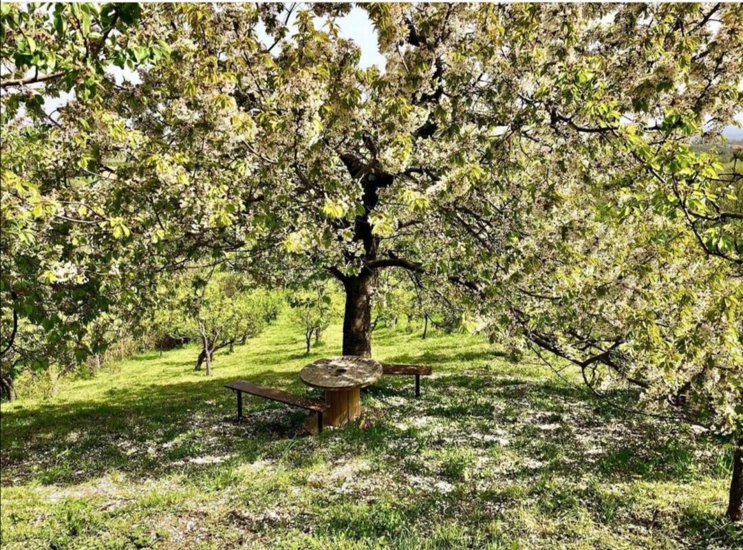Vila Pogled Aranđelovac Exterior foto