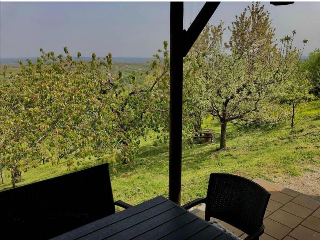 Vila Pogled Aranđelovac Exterior foto